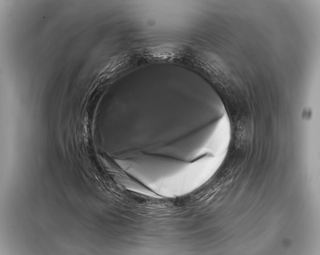 X0000098191394200805081037