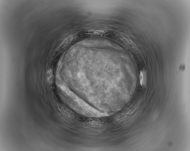 X0000098191395200805081037