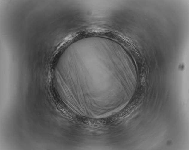 X0000098191397200805081037