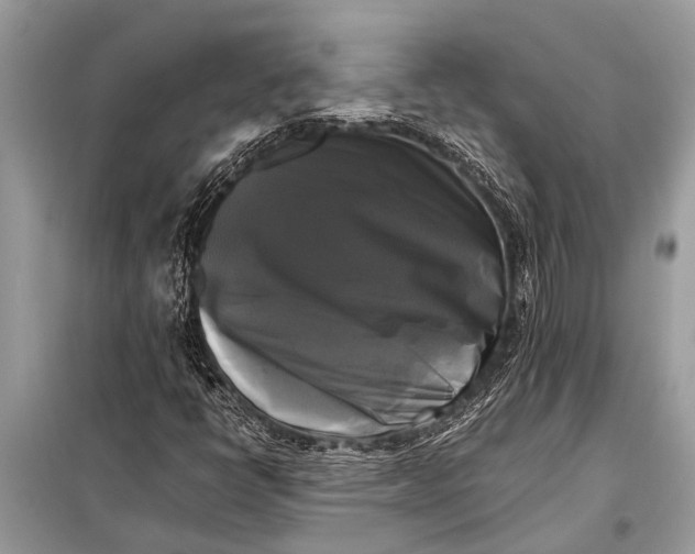 X0000098191398200805081037