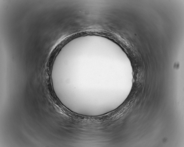 X0000098191400200805081037