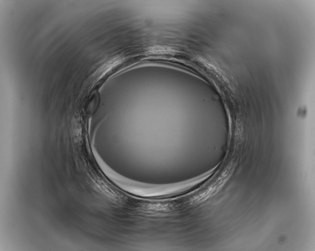 X0000098191401200805081037