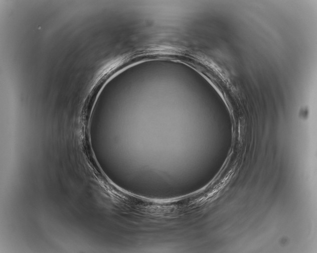 X0000098191405200805081037