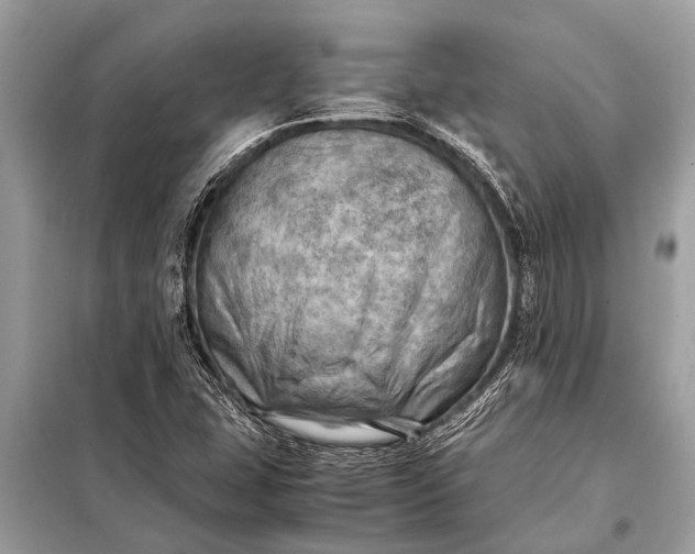 X0000098191407200805081037