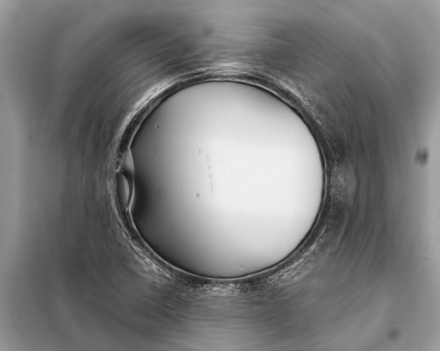 X0000098191410200805081037