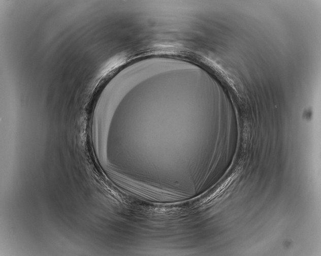 X0000098191411200805081037