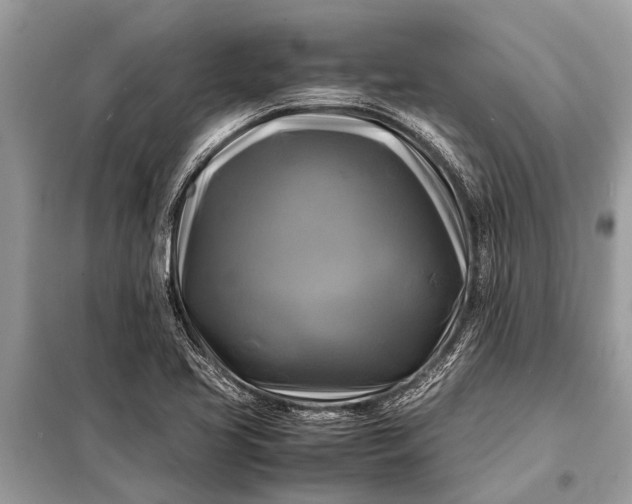 X0000098191413200805081037