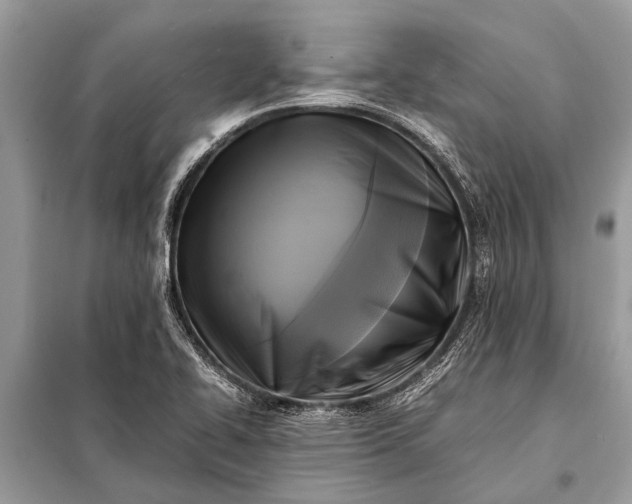 X0000098191414200805081037