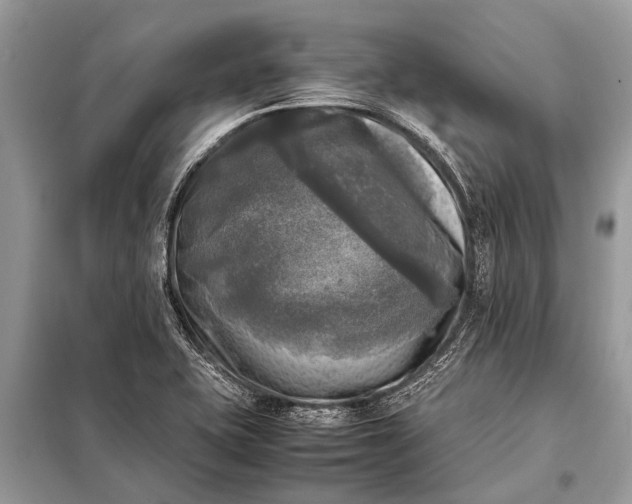 X0000098191415200805081037