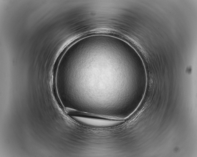 X0000098191418200805081037