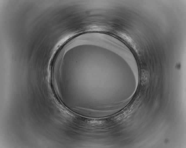 X0000098191419200805081037