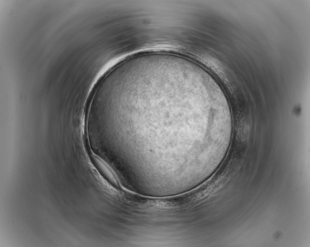 X0000098191420200805081037