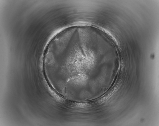 X0000098191421200805081037