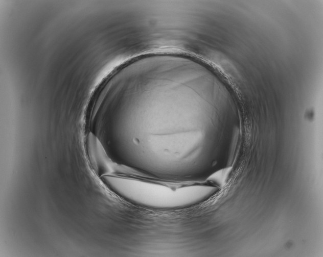 X0000098191422200805081037