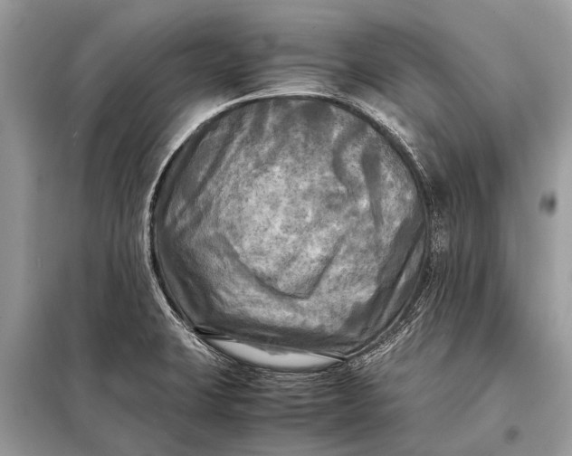 X0000098191423200805081037