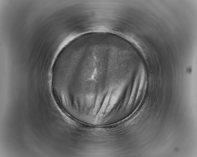 X0000098191424200805081037