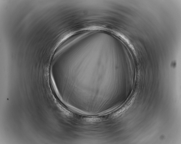 X0000098191425200805081037