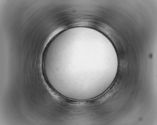 X0000098191426200805081037