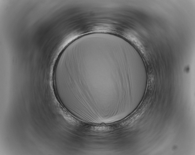 X0000098191427200805081037