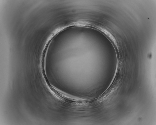 X0000098191429200805081037