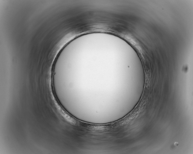 X0000098191431200805081037
