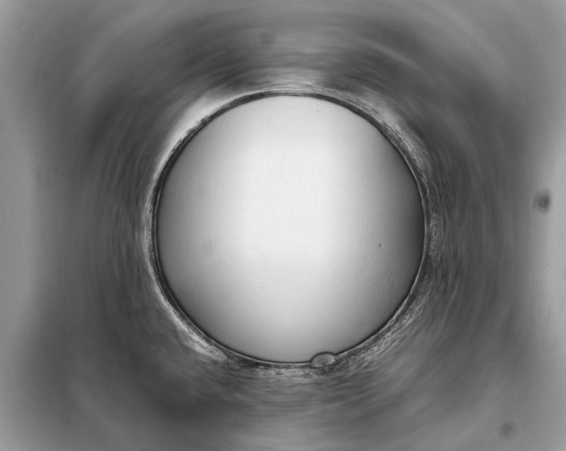X0000098191432200805081037