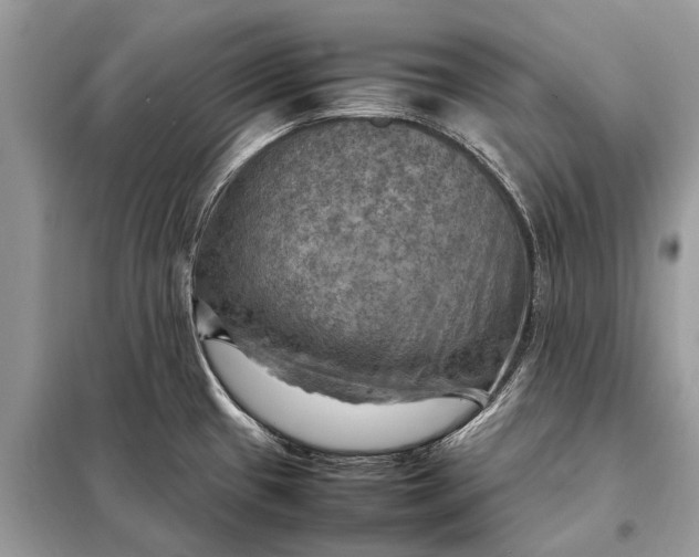 X0000098191433200805081037