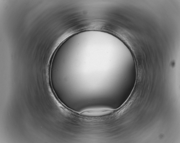 X0000098191434200805081037