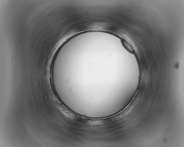 X0000098191435200805081037