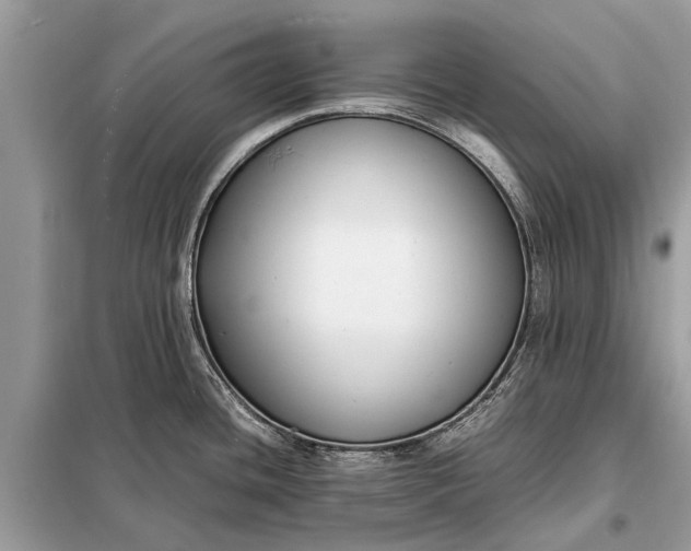 X0000098191436200805081037