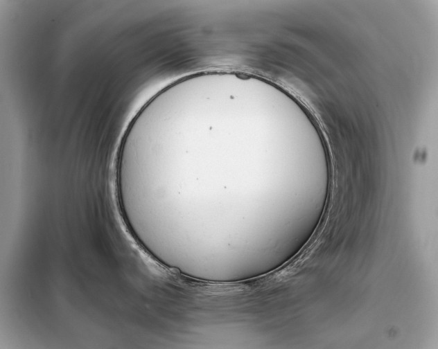 X0000098191440200805081037