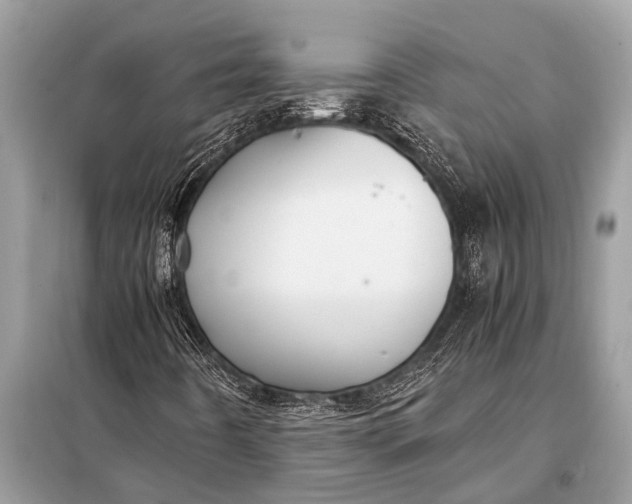 X0000098191442200805081037