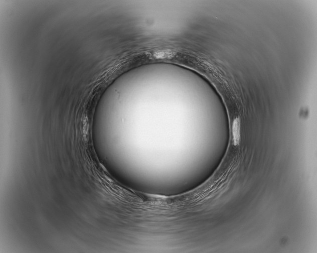 X0000098191443200805081036