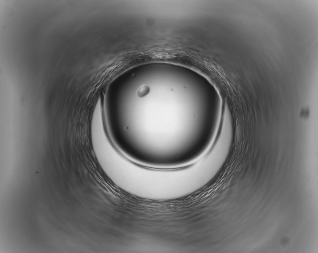 X0000098191444200805081036