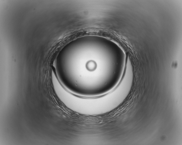 X0000098191445200805081036