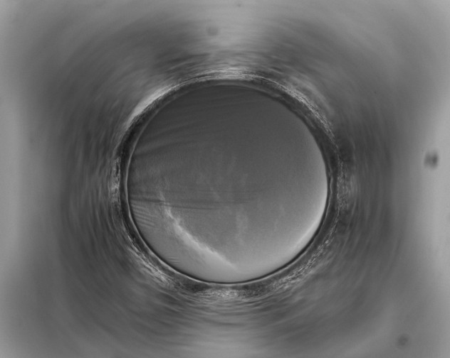 X0000098191450200805081036