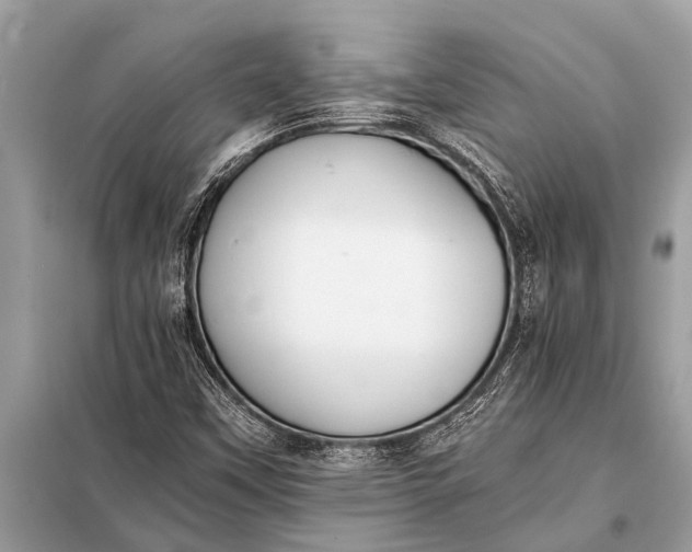 X0000098191451200805081036