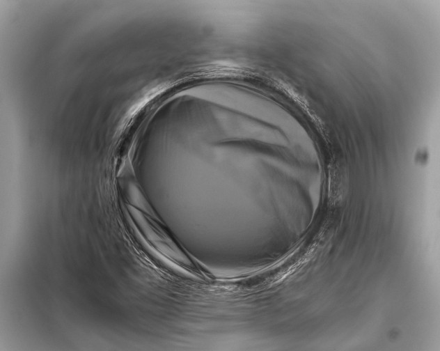 X0000098191453200805081036