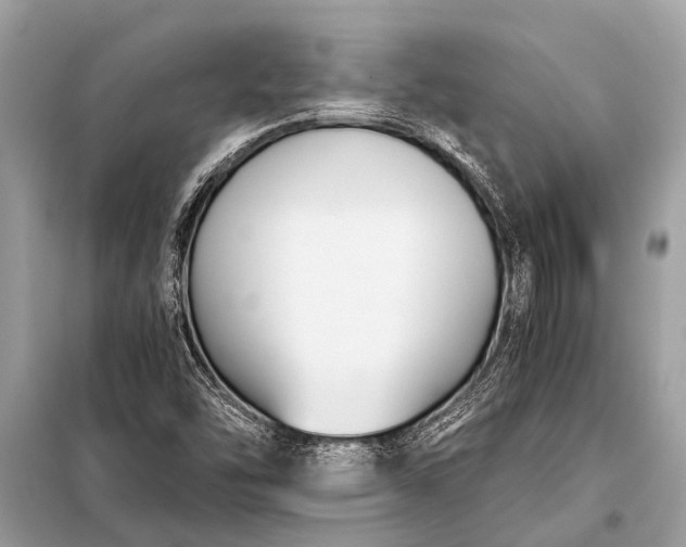 X0000098191454200805081036