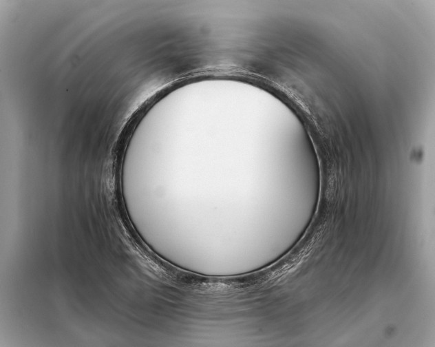 X0000098191458200805081036