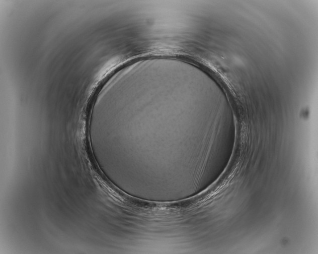 X0000098191459200805081036