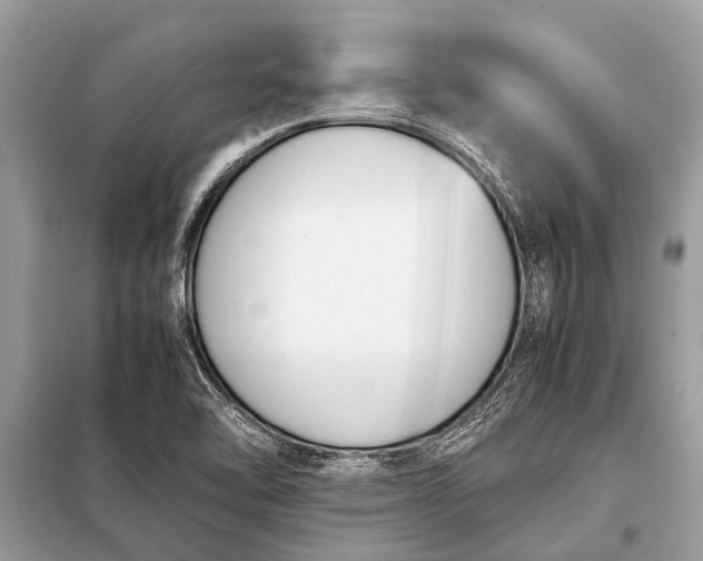 X0000098191462200805081036