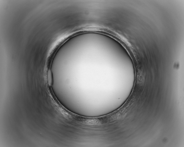 X0000098191464200805081036
