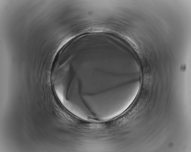 X0000098191465200805081036