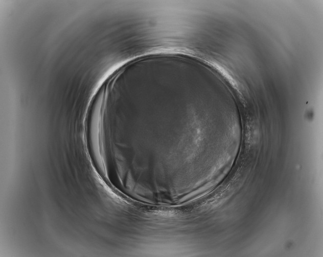 X0000098191468200805081036