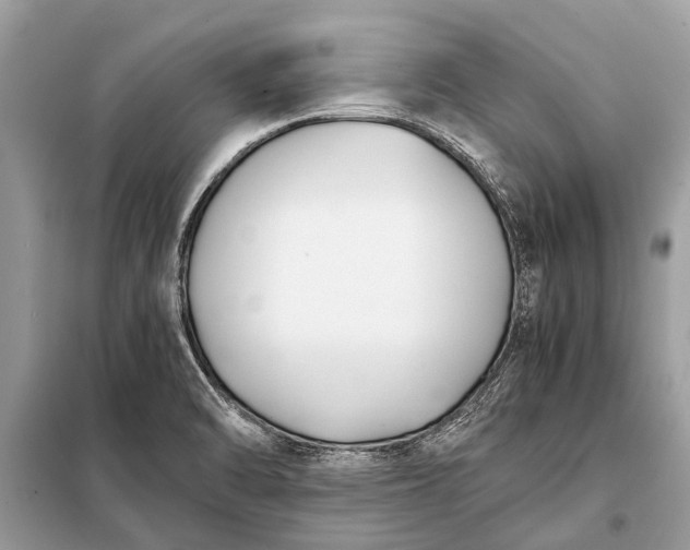 X0000098191470200805081036
