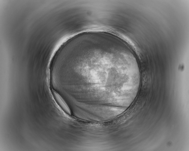 X0000098191472200805081036