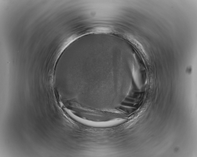 X0000098191473200805081036