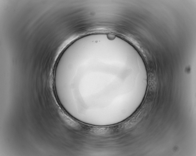X0000098191474200805081036