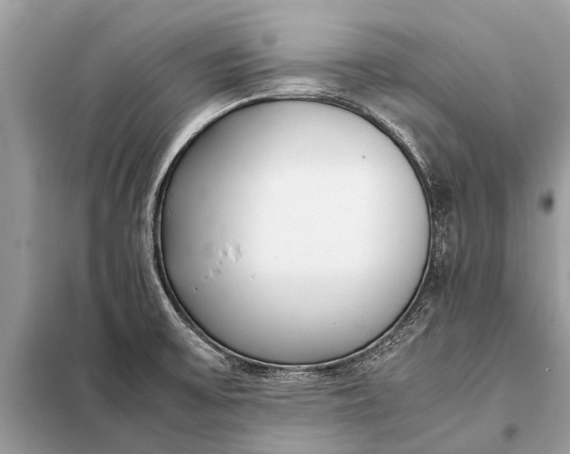X0000098191475200805081036